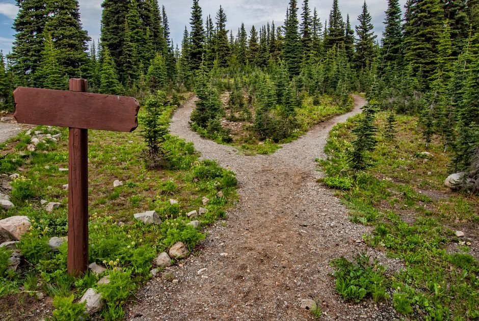 A dirt trail splitting into two separate paths in a forest